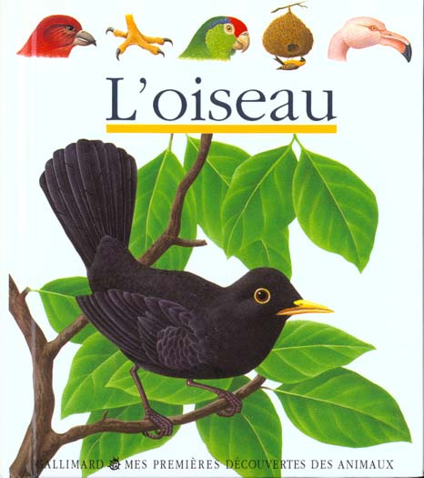 Emprunter L'oiseau livre