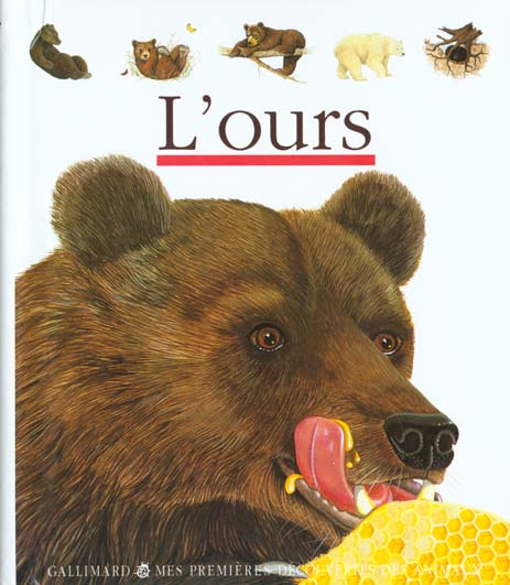Emprunter L'ours livre