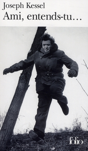 Emprunter Ami, entends-tu... livre