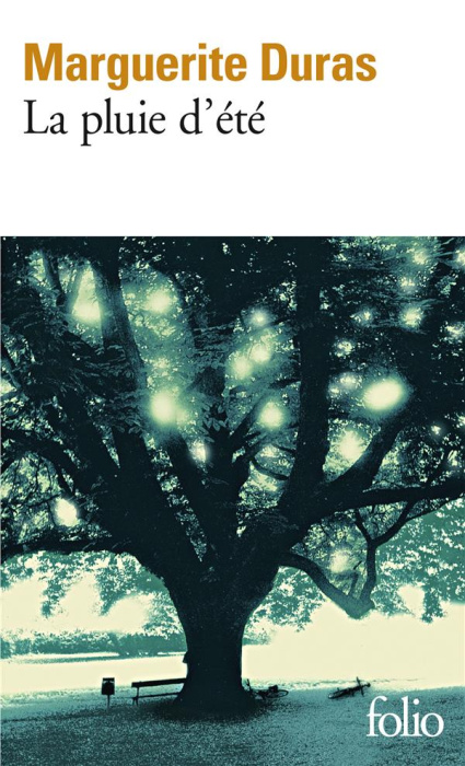 Emprunter La pluie d'été livre