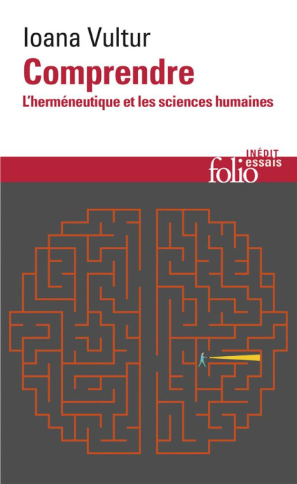 Emprunter Comprendre. L'herméneutique et les sciences humaines livre