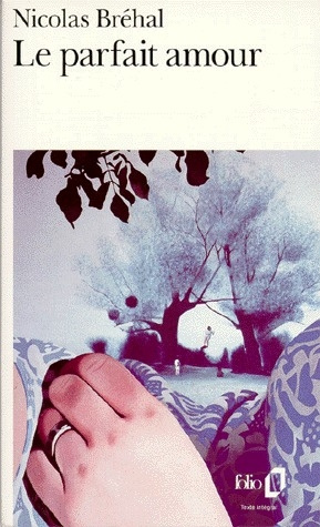 Emprunter Le parfait amour livre