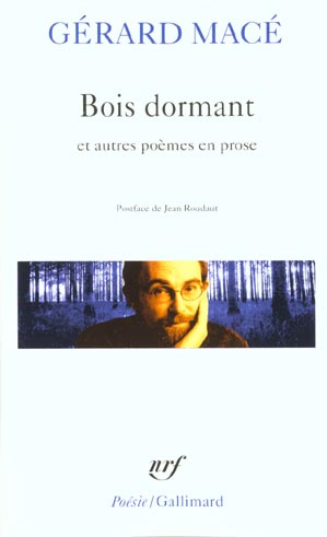 Emprunter Bois dormant et autres poèmes en prose livre