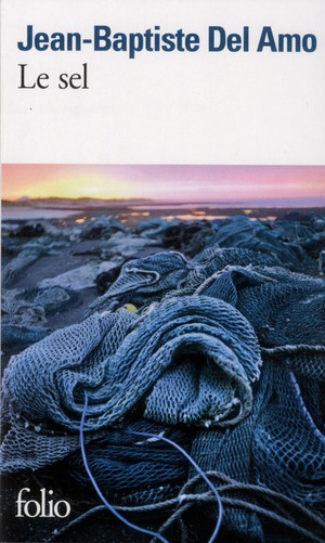 Emprunter Le sel livre