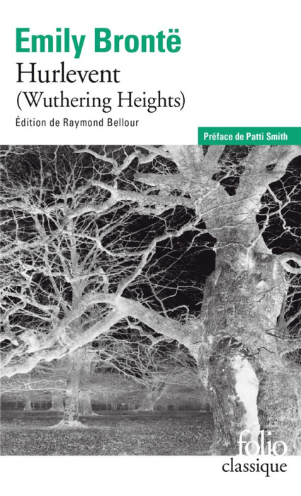 Emprunter Hurlevent livre
