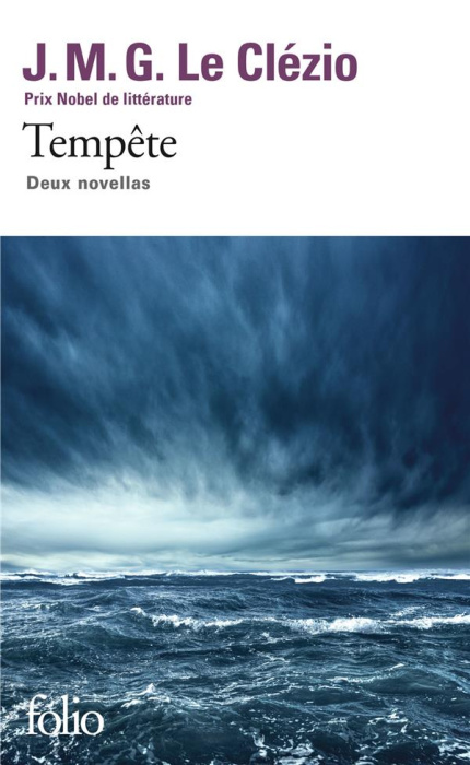 Emprunter Tempête. Deux novellas livre