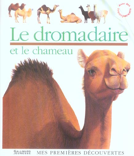 Emprunter Le dromadaire et le chameau livre