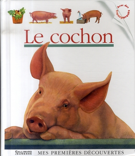 Emprunter Le cochon livre