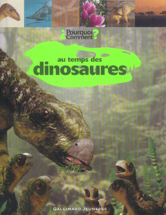 Emprunter Au temps des dinosaures livre