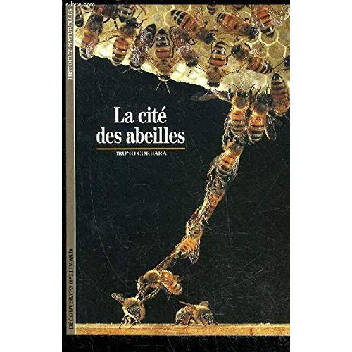 Emprunter La cité des abeilles livre