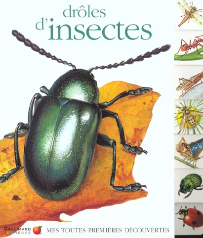 Emprunter Drôle d'insectes livre