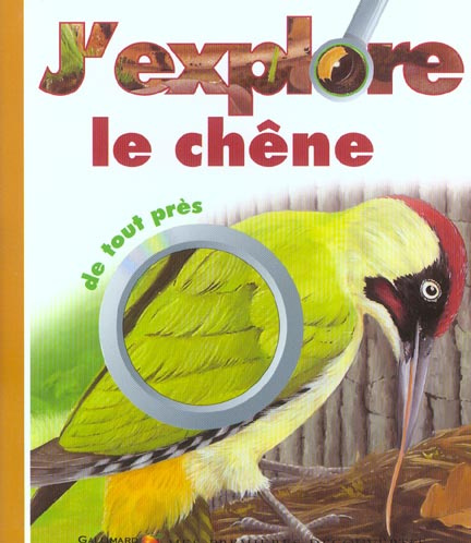 Emprunter J'explore le chêne de tout près livre
