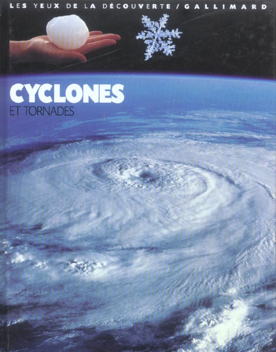 Emprunter Cyclones et tornades livre