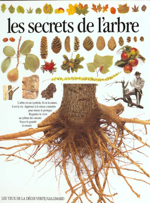 Emprunter Les Secrets de l'arbre livre