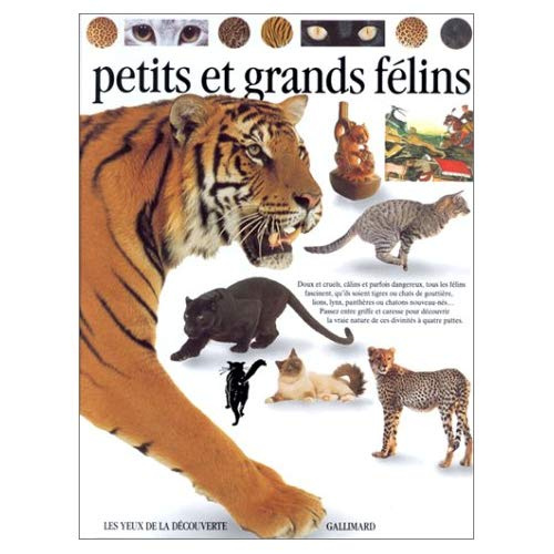 Emprunter Les petits et grands félins livre