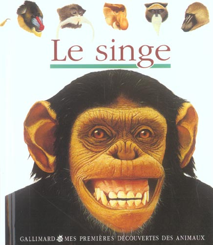 Emprunter Le singe livre