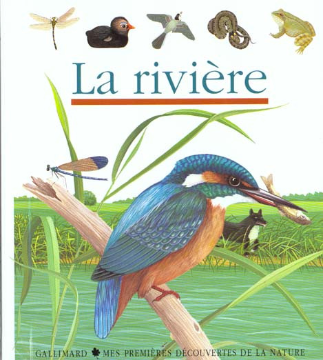 Emprunter La rivière livre