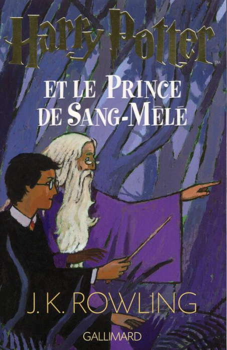 Emprunter Harry Potter Tome 6 : Harry Potter et le Prince de Sang-Mêlé livre