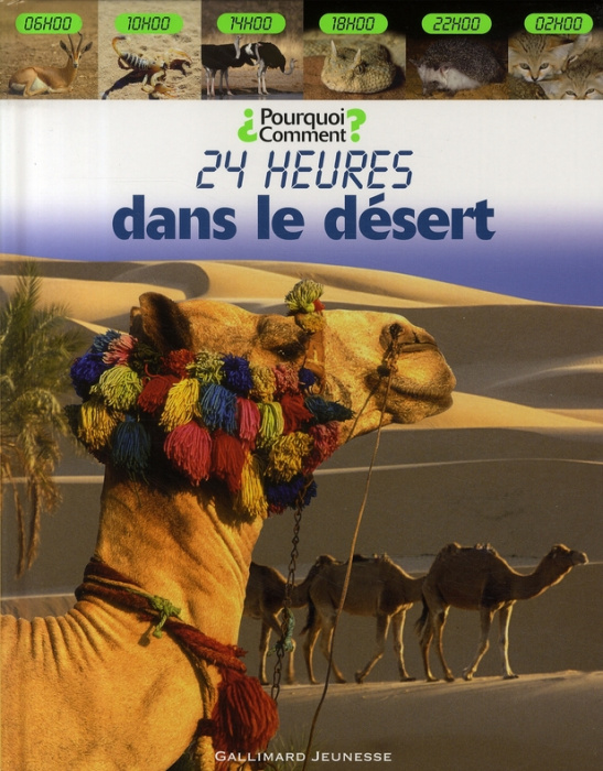 Emprunter 24 heures dans le désert livre