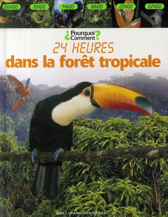 Emprunter 24 Heures dans la forêt tropicale livre