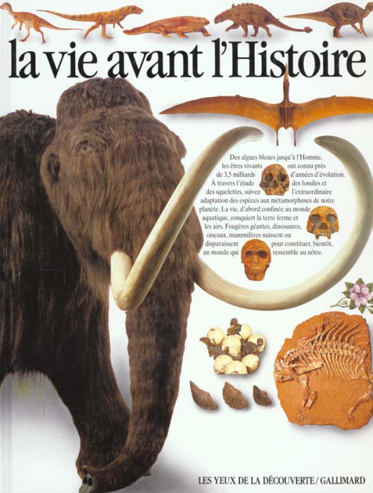 Emprunter La vie avant l'Histoire livre