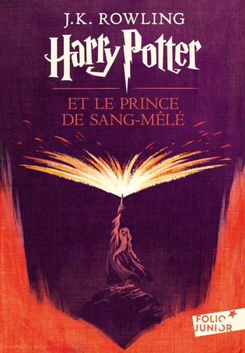 Emprunter Harry Potter Tome 6 : Harry Potter et le prince de Sang-Mêlé livre