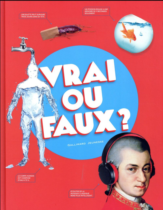 Emprunter Vrai ou faux ? livre