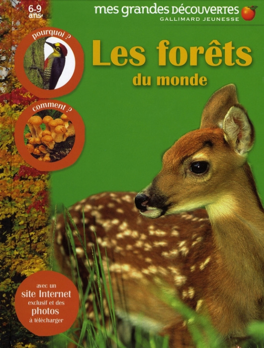 Emprunter Les forêts du monde livre