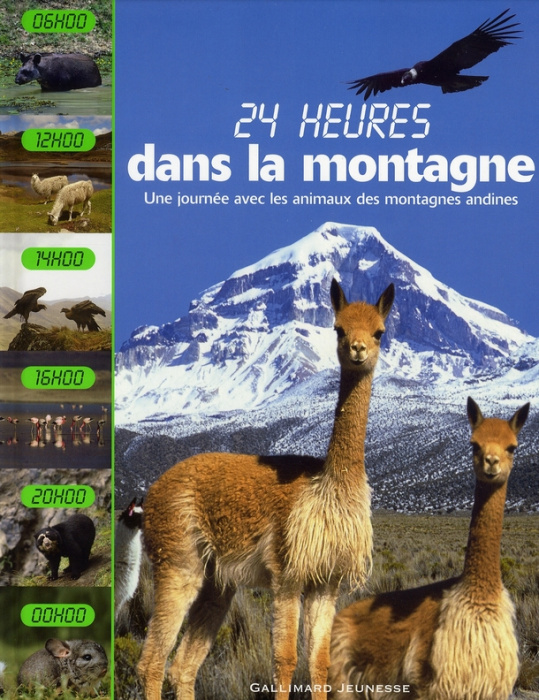 Emprunter 24 heures dans la montagne. Une journée avec les animaux des montagnes andines livre