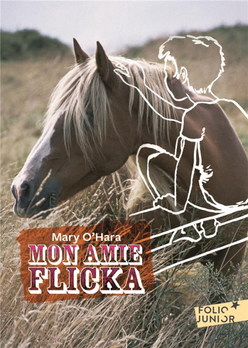Emprunter Mon amie Flicka livre