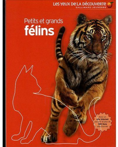 Emprunter Petits et grands félins livre