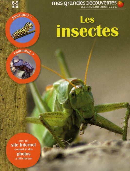 Emprunter Les insectes livre