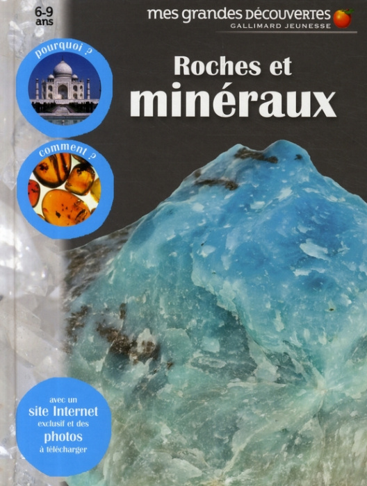 Emprunter Roches et minéraux livre