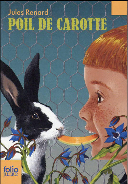 Emprunter Poil de Carotte livre