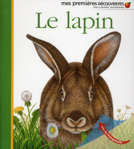 Emprunter Le lapin livre
