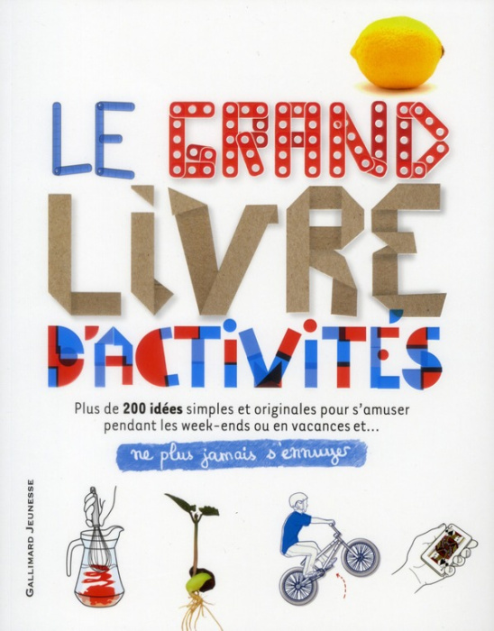 Emprunter Le grand livre d'activités. Ne plus jamais s'ennuyer livre