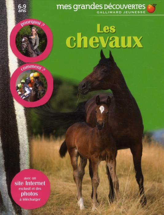 Emprunter Les chevaux livre