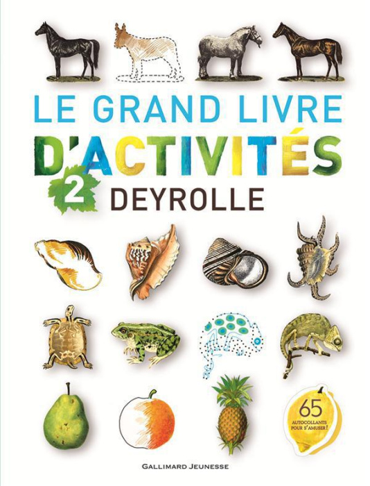 Emprunter Le grand livre d'activités Deyrolle. Tome 2 livre