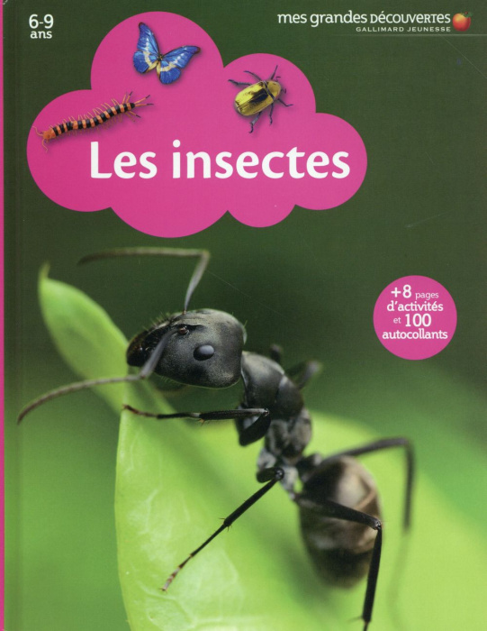 Emprunter Les insectes livre