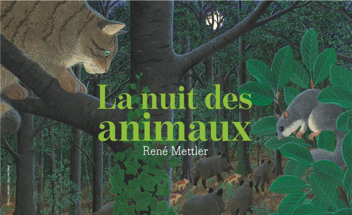 Emprunter La nuit des animaux livre