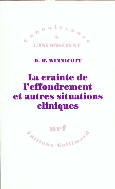 Emprunter La crainte de l'effondrement et autres situations cliniques livre
