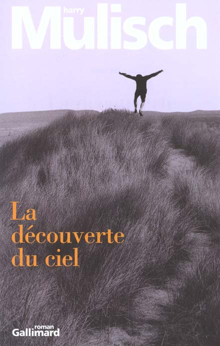 Emprunter La découverte du ciel livre