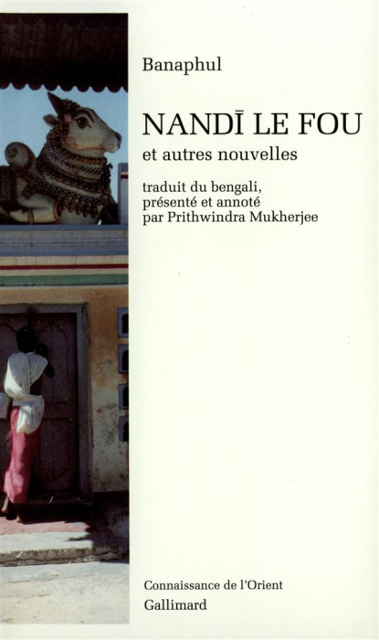 Emprunter Nandi le fou. Et autres nouvelles livre