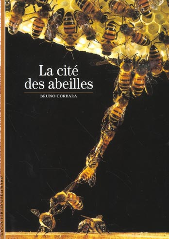 Emprunter La cité des abeilles livre