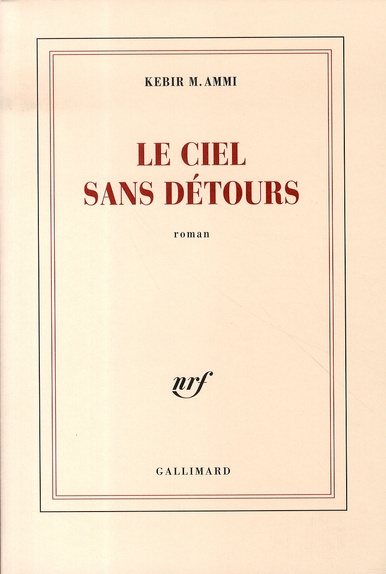 Emprunter Le ciel sans détours livre