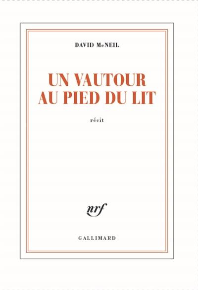 Emprunter Un vautour au pied du lit livre