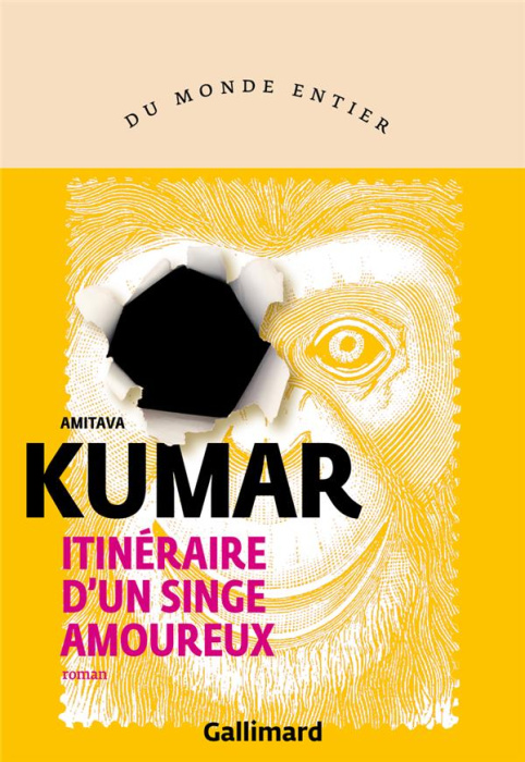 Emprunter Itinéraire d’un singe amoureux livre