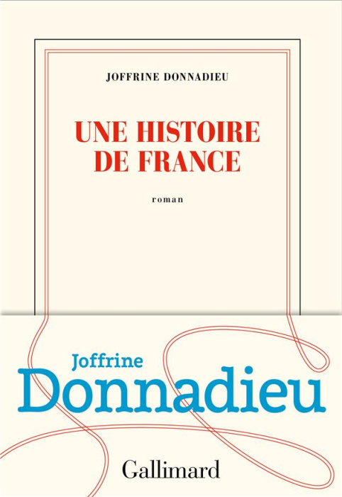 Emprunter Une histoire de France livre