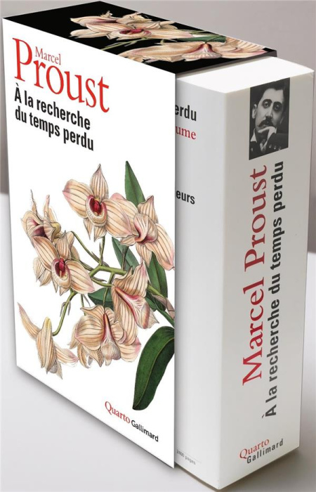 Emprunter A la recherche du temps perdu. Du côté de chez Swann ; A l'ombre des jeunes filles en fleur ; Le côt livre