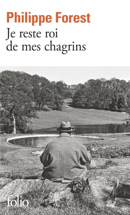 Emprunter Je reste roi de mes chagrins livre